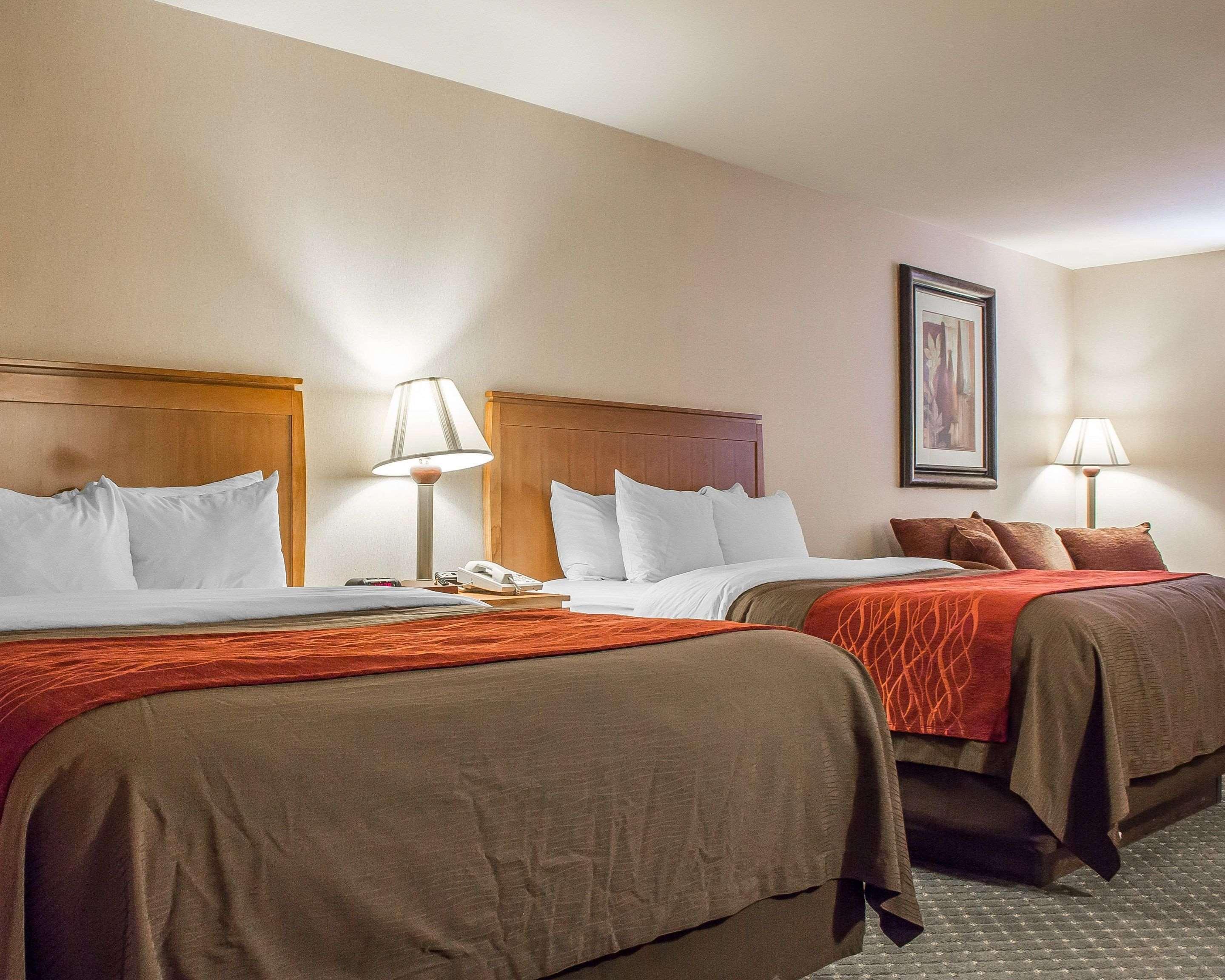 Comfort Inn And Suites Thatcher Phòng bức ảnh